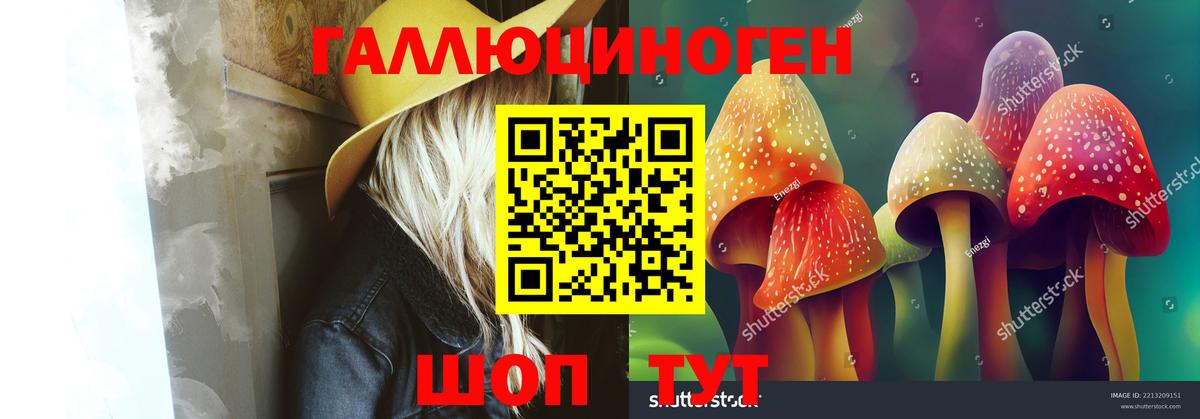 Псилоцибиновые грибы Magic Shrooms  закладки  Галлюциногенные грибы GOLDEN TEACHER  Петрозаводск  Вход с VPN 